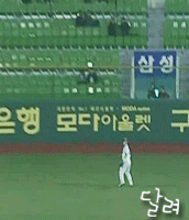 태룡 이미지