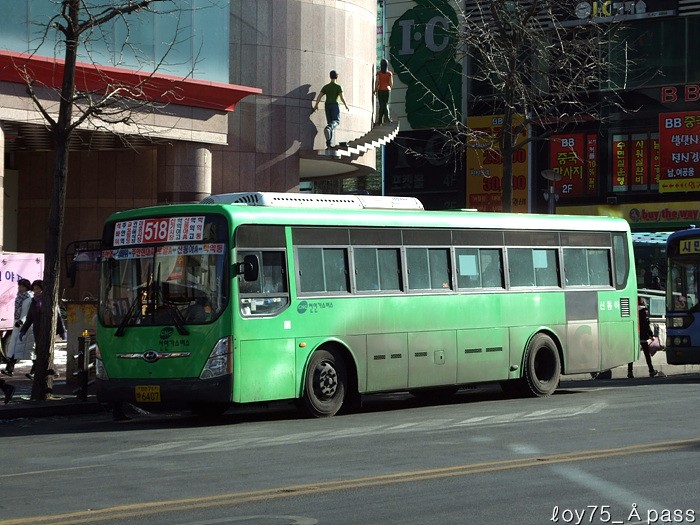 2010 / 01 / 12 - 동인천역,제물포역,주안역 - 버스 갤러리