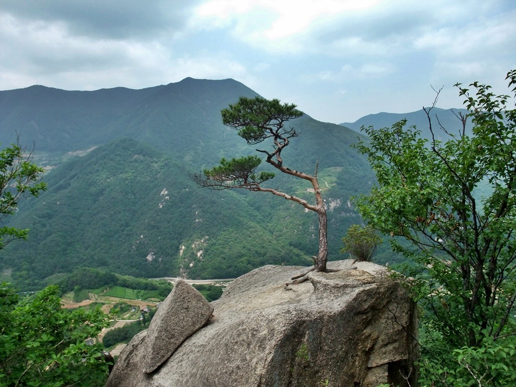 도락산(2009.06.06) 산행 - 등산 갤러리