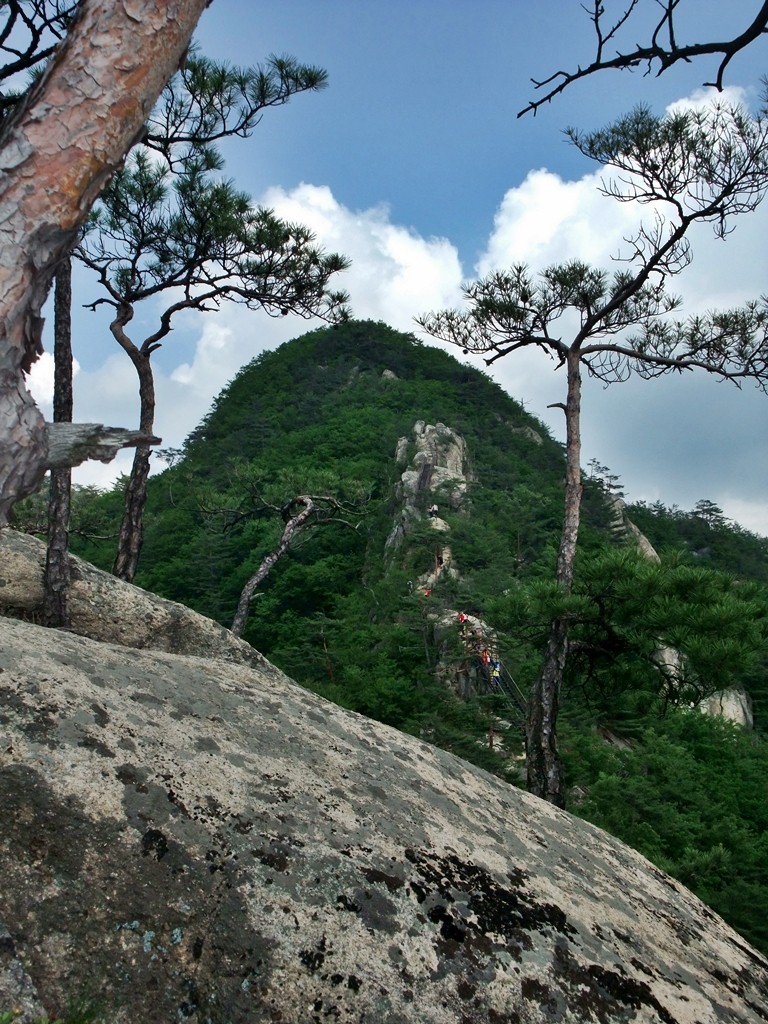 도락산(2009.06.06) 산행 - 등산 갤러리