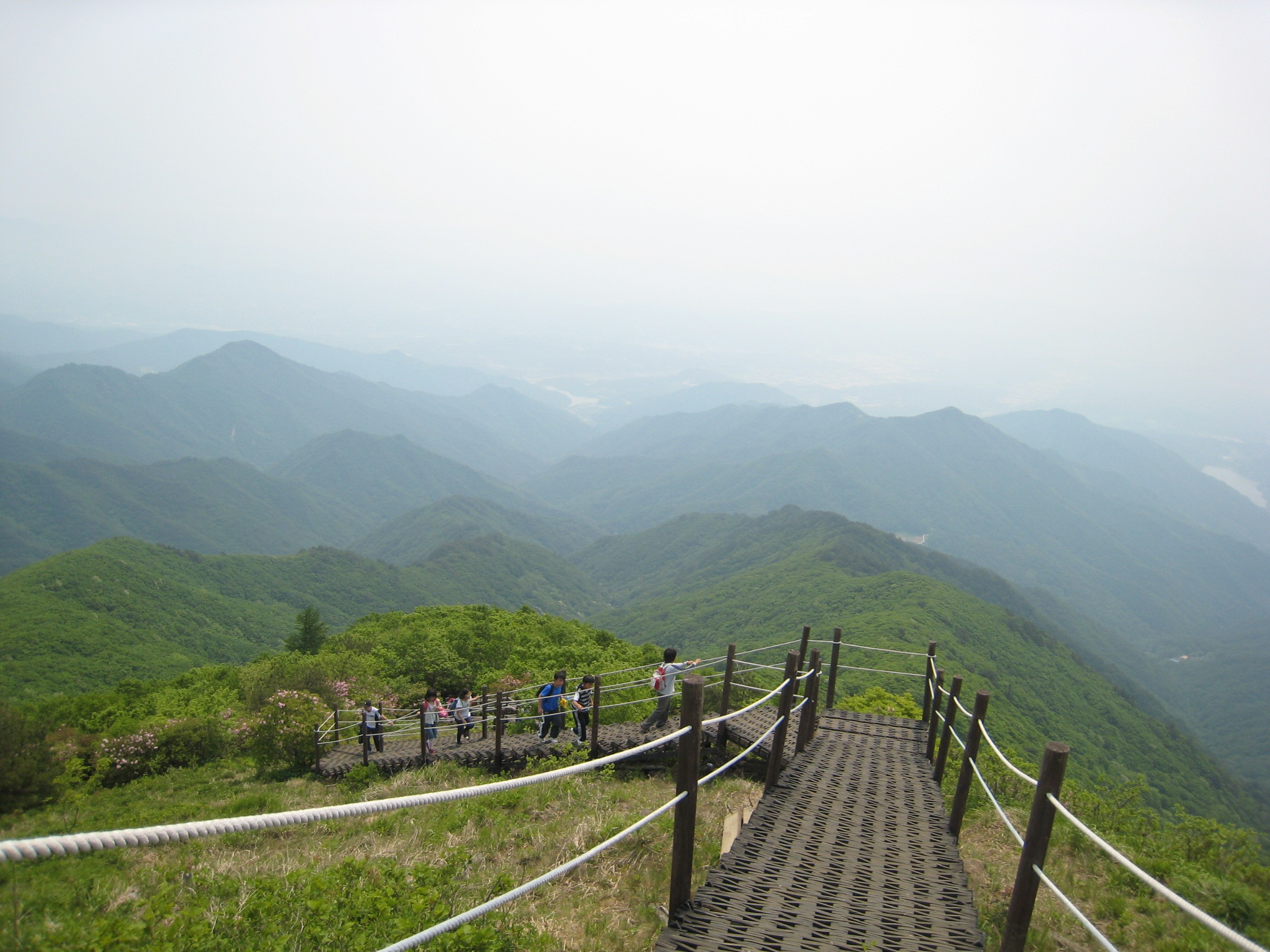 소백산우여곡절후기 - 등산 갤러리